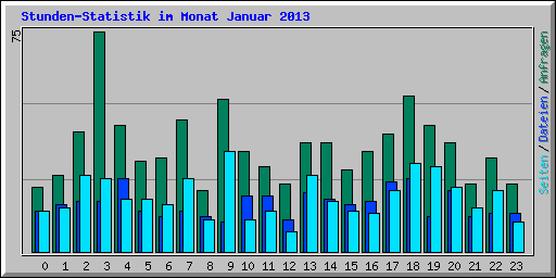Stunden-Statistik im Monat Januar 2013
