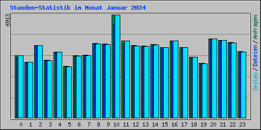 Stunden-Statistik im Monat Januar 2024