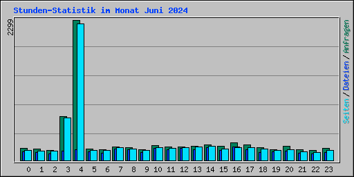 Stunden-Statistik im Monat Juni 2024