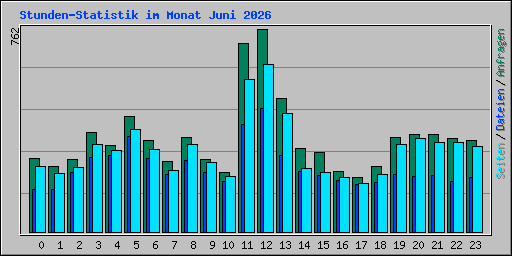 Stunden-Statistik im Monat Juni 2026