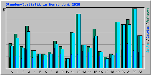 Stunden-Statistik im Monat Juni 2026
