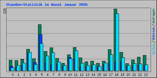 Stunden-Statistik im Monat Januar 2026