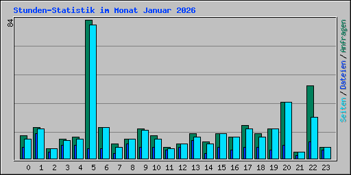 Stunden-Statistik im Monat Januar 2026