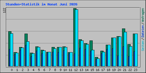 Stunden-Statistik im Monat Juni 2026